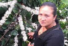 Load image into Gallery viewer, Colombia Planadas (Medium Roast)
